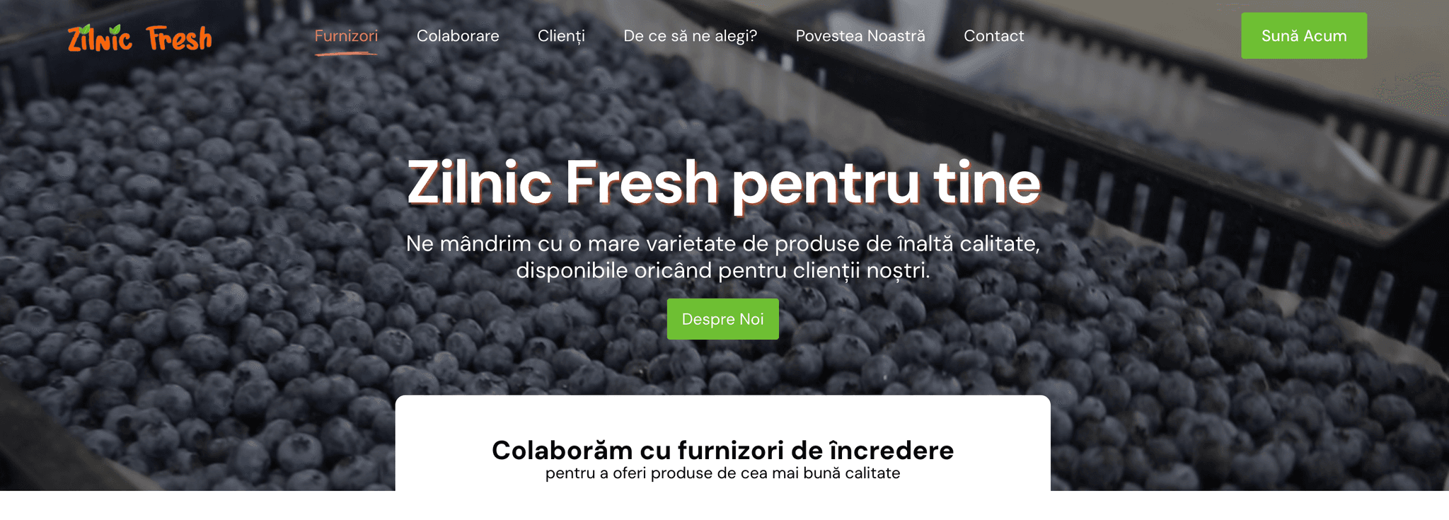 Zilnic Fresh